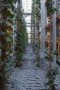 3.Parlement européen_DSF7227