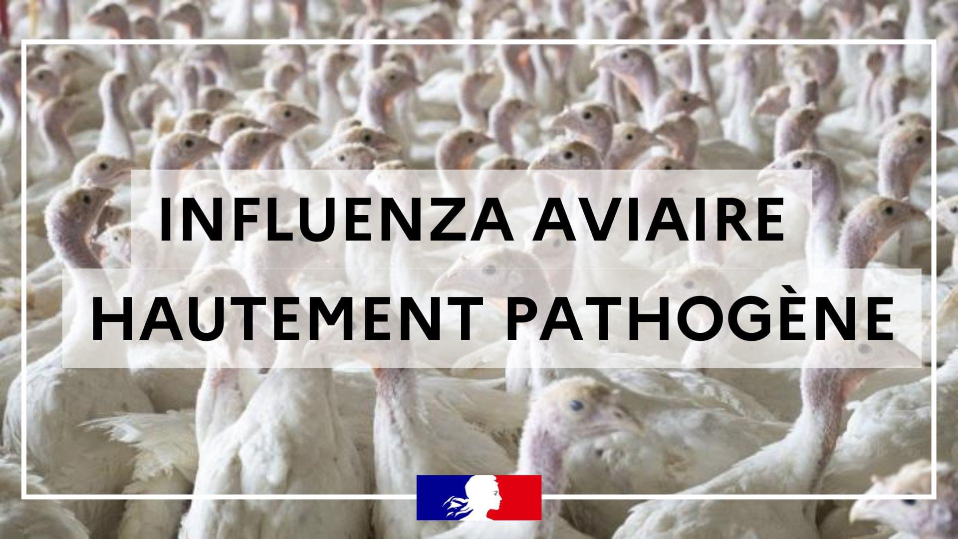 La gestion de l&rsquo;IAHP